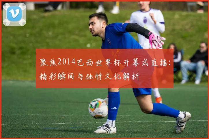 聚焦2014巴西世界杯开幕式直播：精彩瞬间与独特文化解析