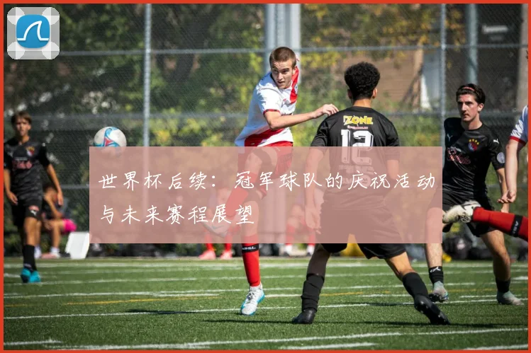 世界杯后续：冠军球队的庆祝活动与未来赛程展望