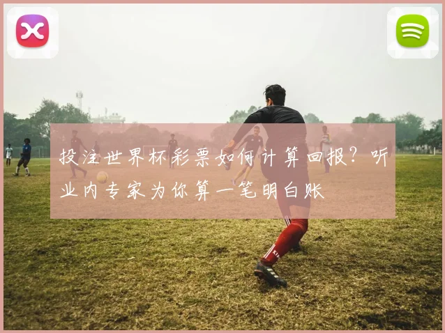 投注世界杯彩票如何计算回报?听业内专家为你算一笔明白账