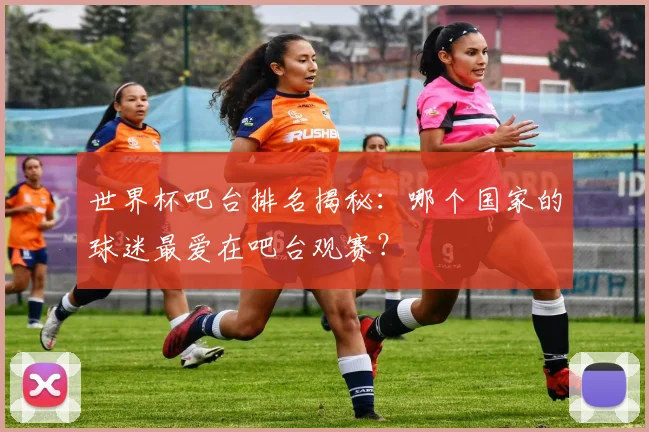 世界杯吧台排名揭秘：哪个国家的球迷最爱在吧台观赛？