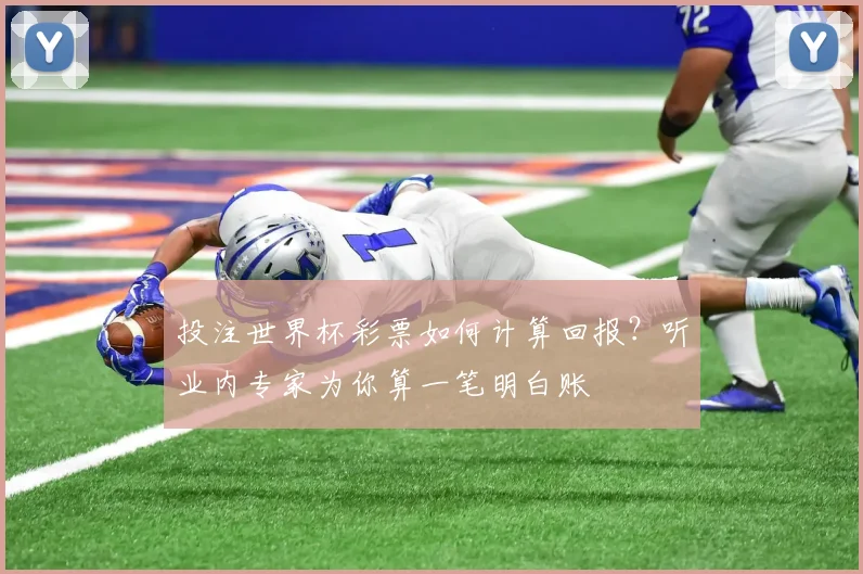 投注世界杯彩票如何计算回报?听业内专家为你算一笔明白账