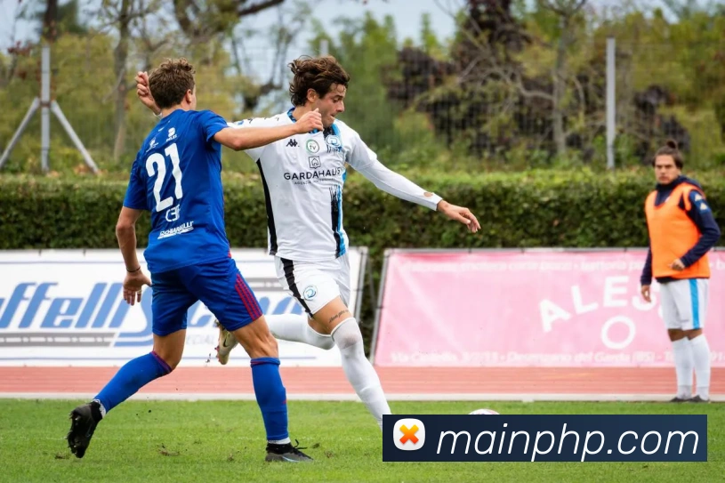 bobsports体育官网APP 高清赛事图